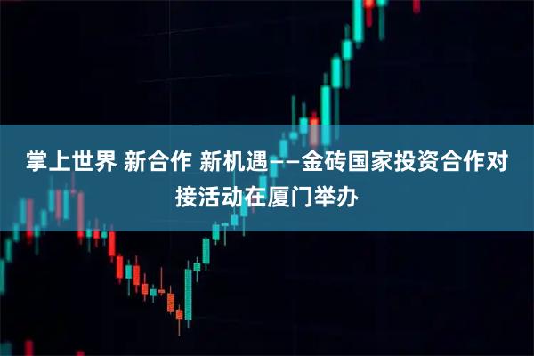 掌上世界 新合作 新机遇——金砖国家投资合作对接活动在厦门举办