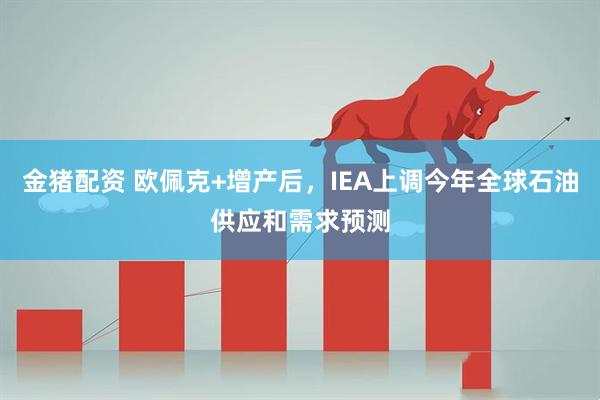 金猪配资 欧佩克+增产后，IEA上调今年全球石油供应和需求预测