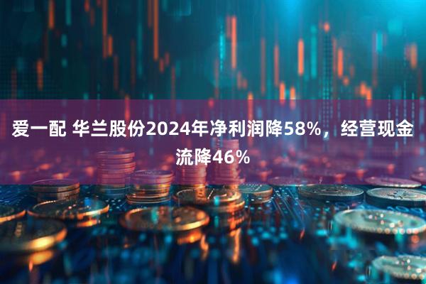 爱一配 华兰股份2024年净利润降58%，经营现金流降46%