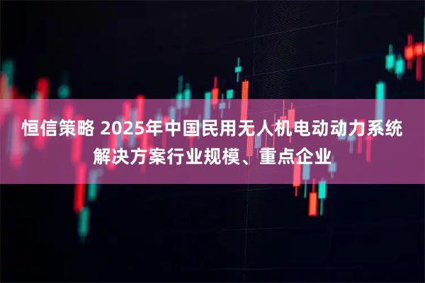 恒信策略 2025年中国民用无人机电动动力系统解决方案行业规模、重点企业