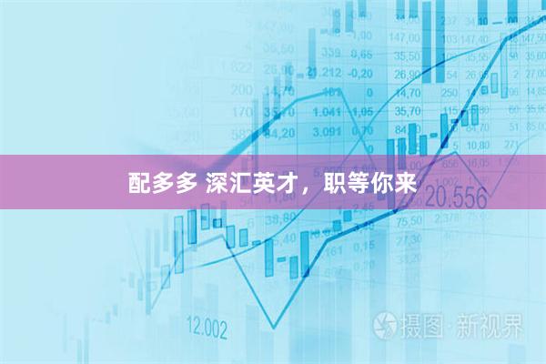 配多多 深汇英才，职等你来