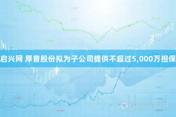启兴网 厚普股份拟为子公司提供不超过5,000万担保