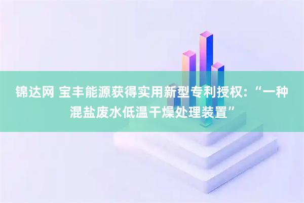 锦达网 宝丰能源获得实用新型专利授权: “一种混盐废水低温干燥处理装置”