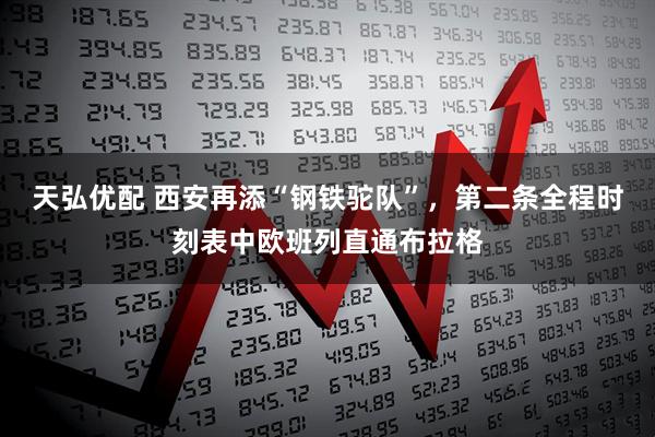 天弘优配 西安再添“钢铁驼队”，第二条全程时刻表中欧班列直通布拉格