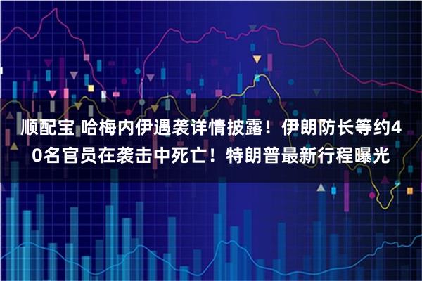 顺配宝 哈梅内伊遇袭详情披露!伊朗防长等约40名官员在袭击中死亡!特朗普最新行程曝光