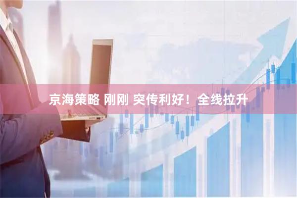 京海策略 刚刚 突传利好！全线拉升